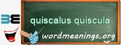 WordMeaning blackboard for quiscalus quiscula